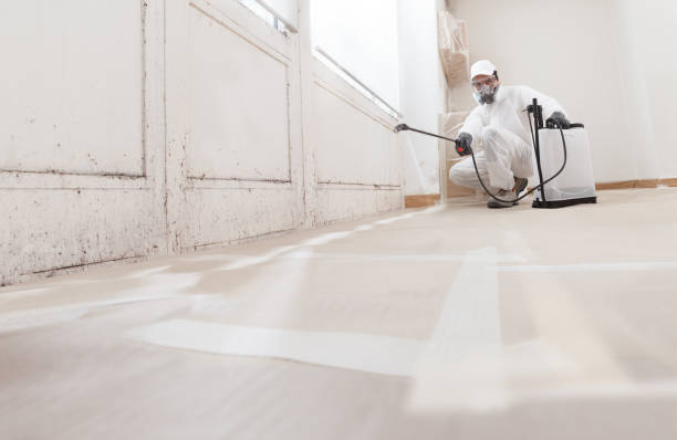24/7 Emergency Mold Remediation experts in Ahoskie, NC