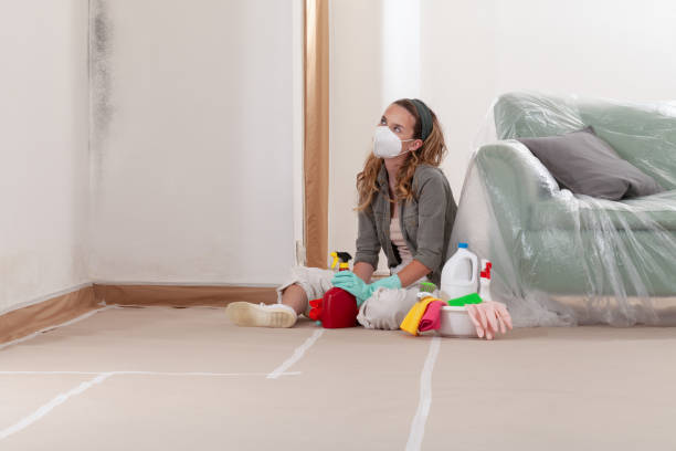Reliable Mold Remediation contractor in Ahoskie, NC by Mold Remediation HQ