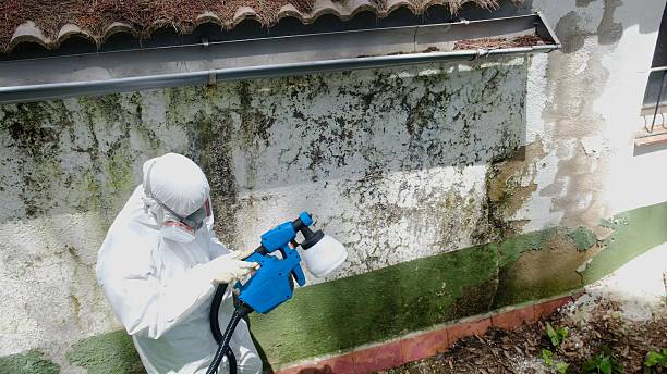 Top rated local Mold Remediation specialists in Ahoskie, NC